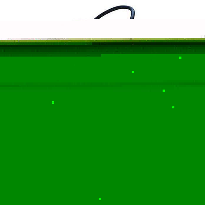 Slika Potapajuća pumpa W-SWP 1100 1100W 15000l/h